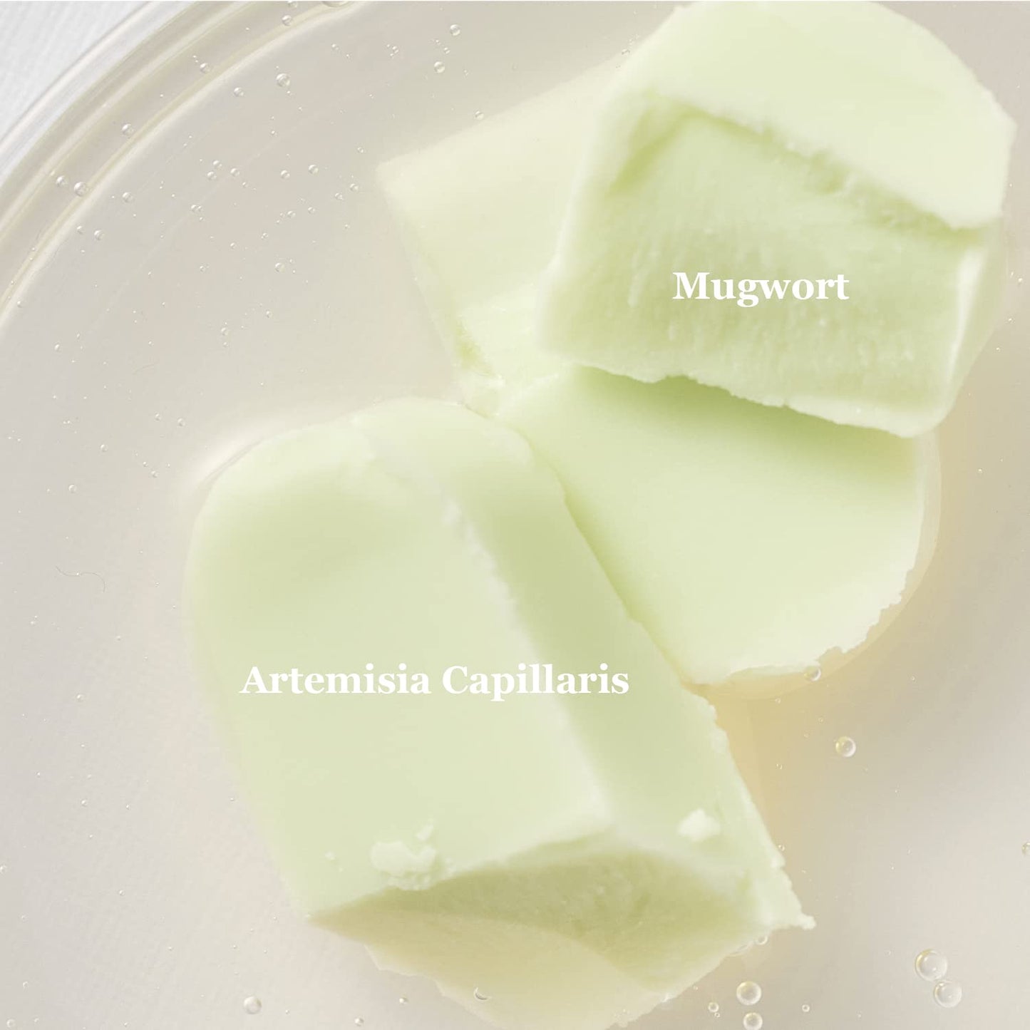 Matte sun stick : Mugwort + Camelia 18g (SPF50+ PA++++)